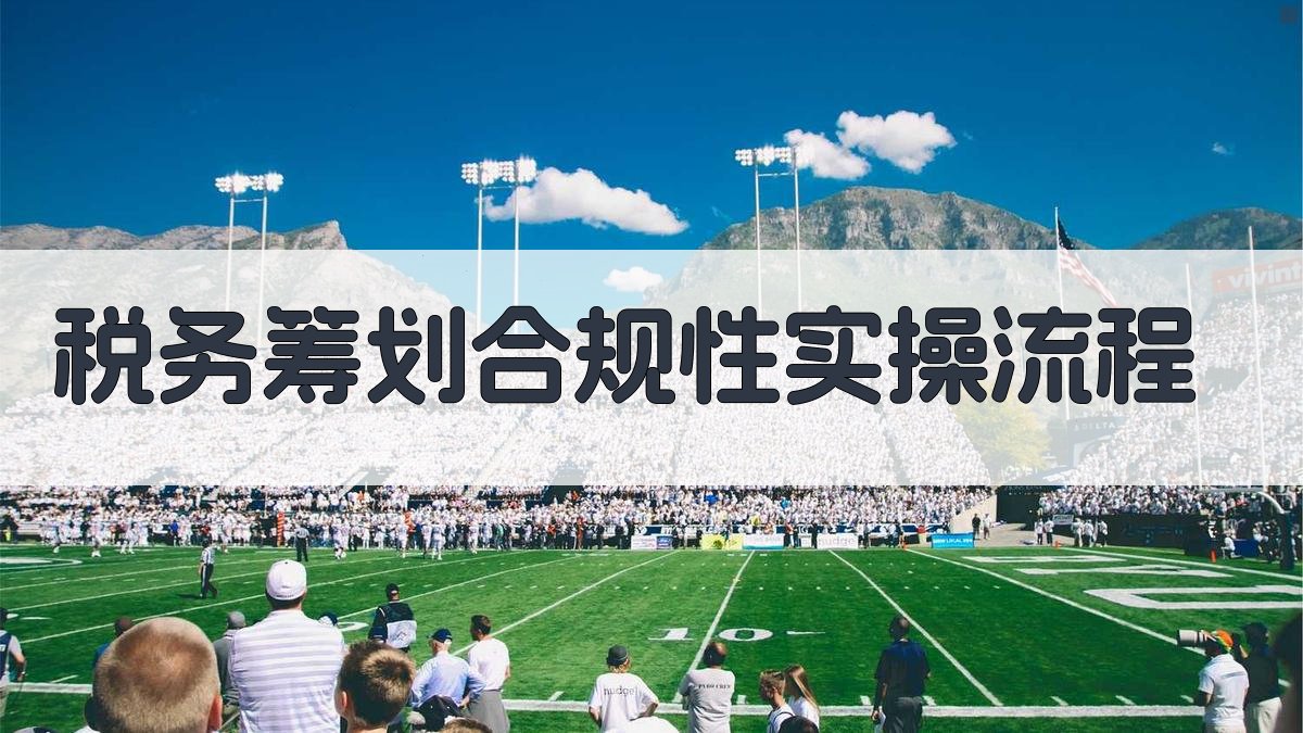税务筹划合规性实操流程 图3