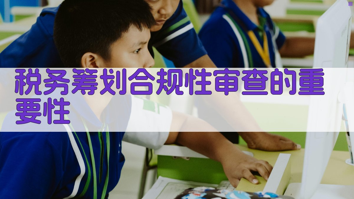 税务筹划合规性审查的重要性 图1