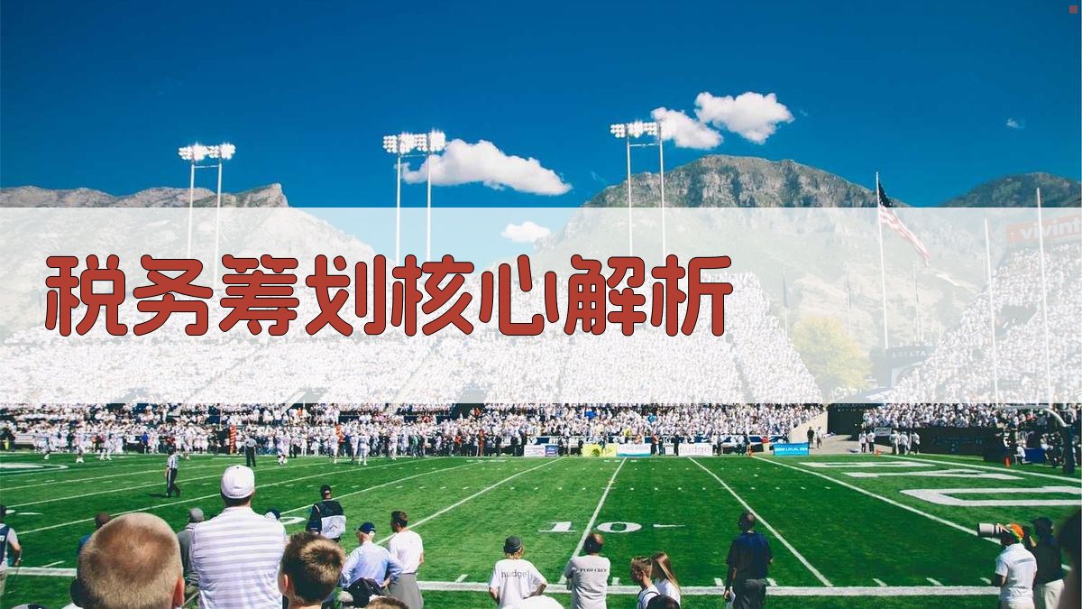 税务筹划核心解析 图2