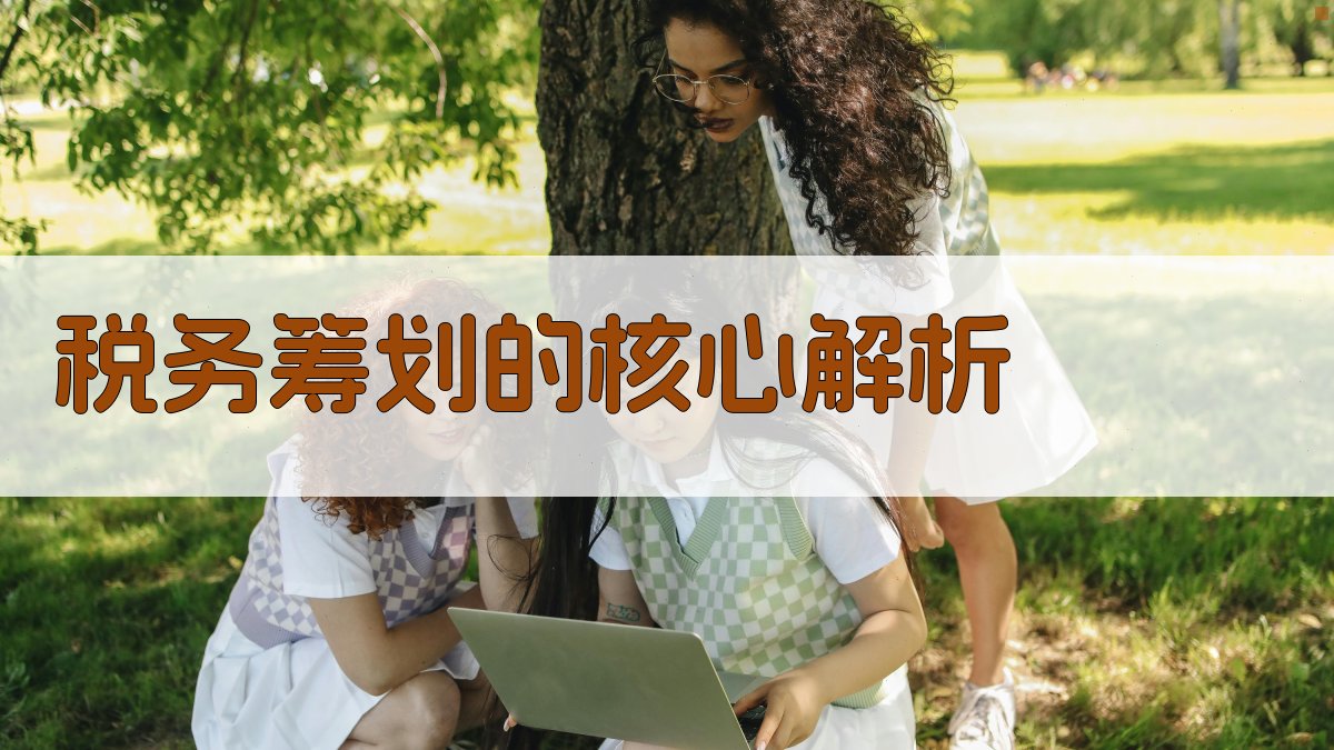 税务筹划的核心解析 图2