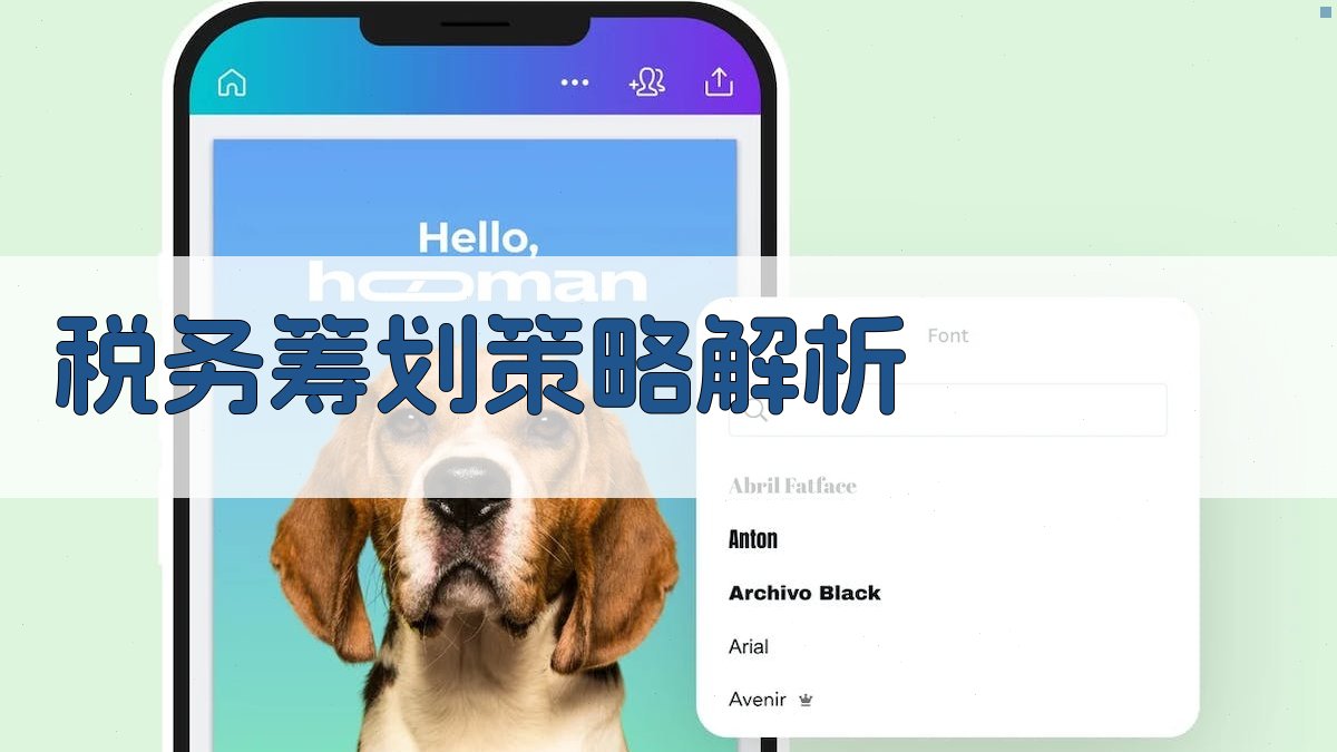 税务筹划策略解析 图1