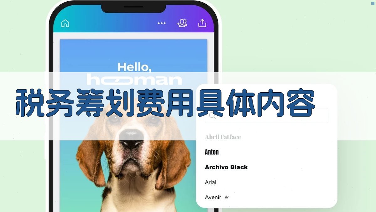 税务筹划费用具体内容 图2