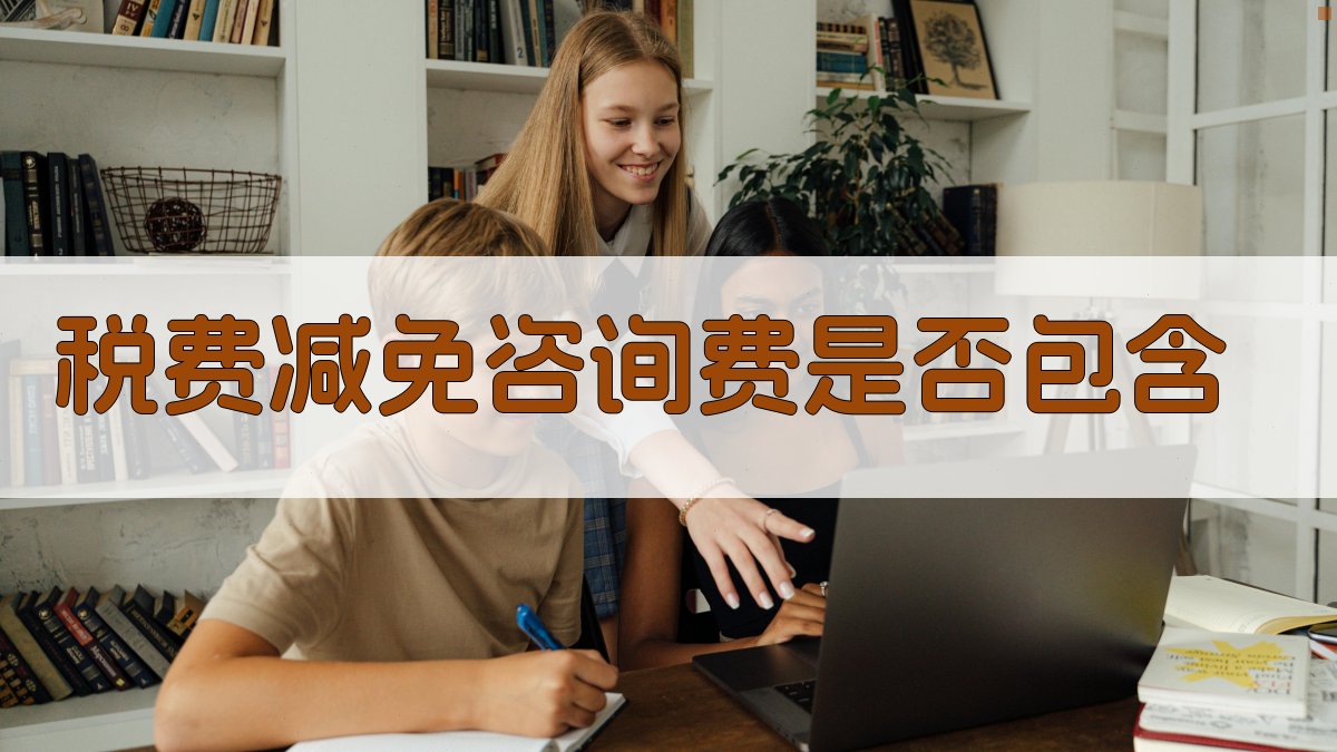 税费减免咨询费是否包含 图3