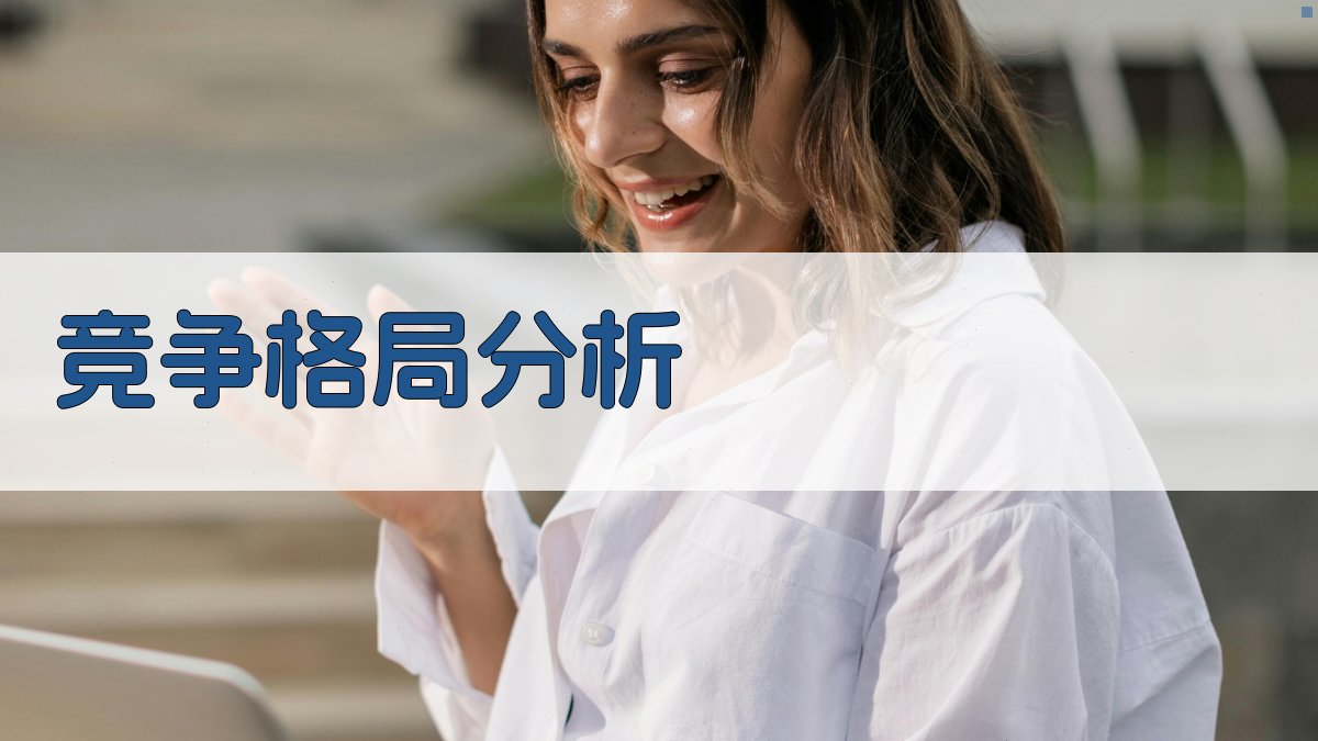 竞争格局分析 图2