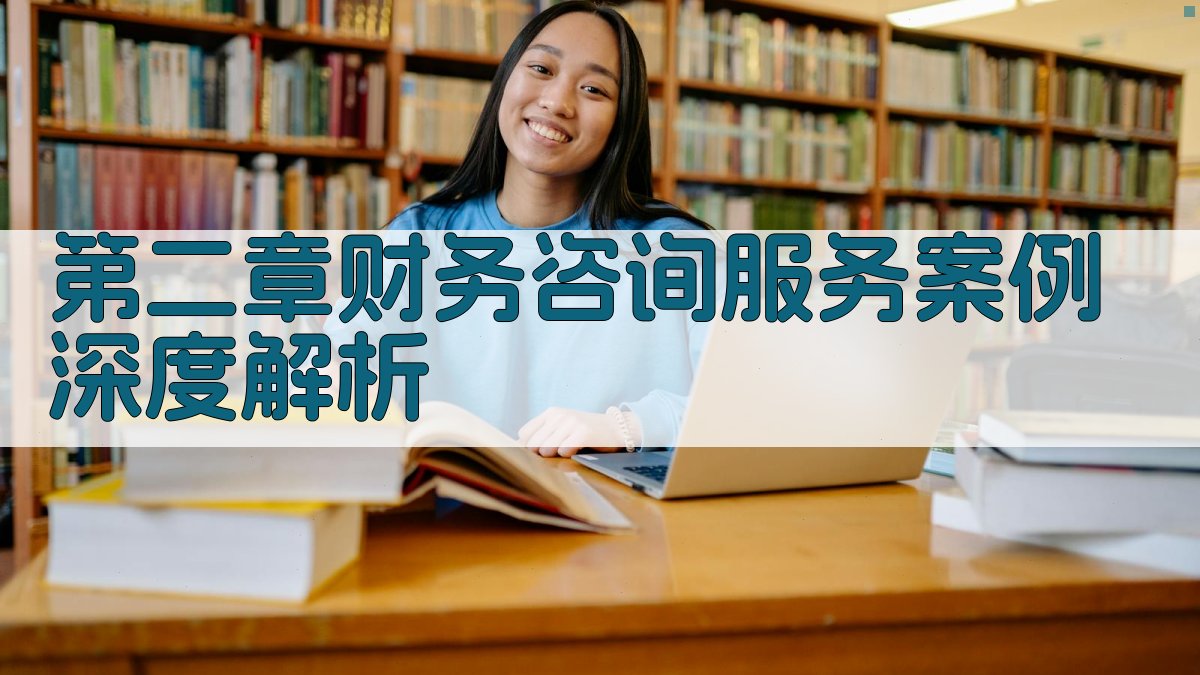 第二章：财务咨询服务案例深度解析 图1