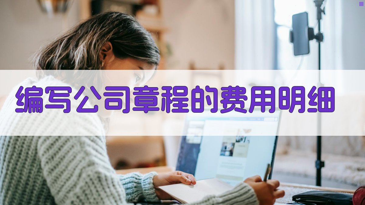 编写公司章程的费用明细 图2