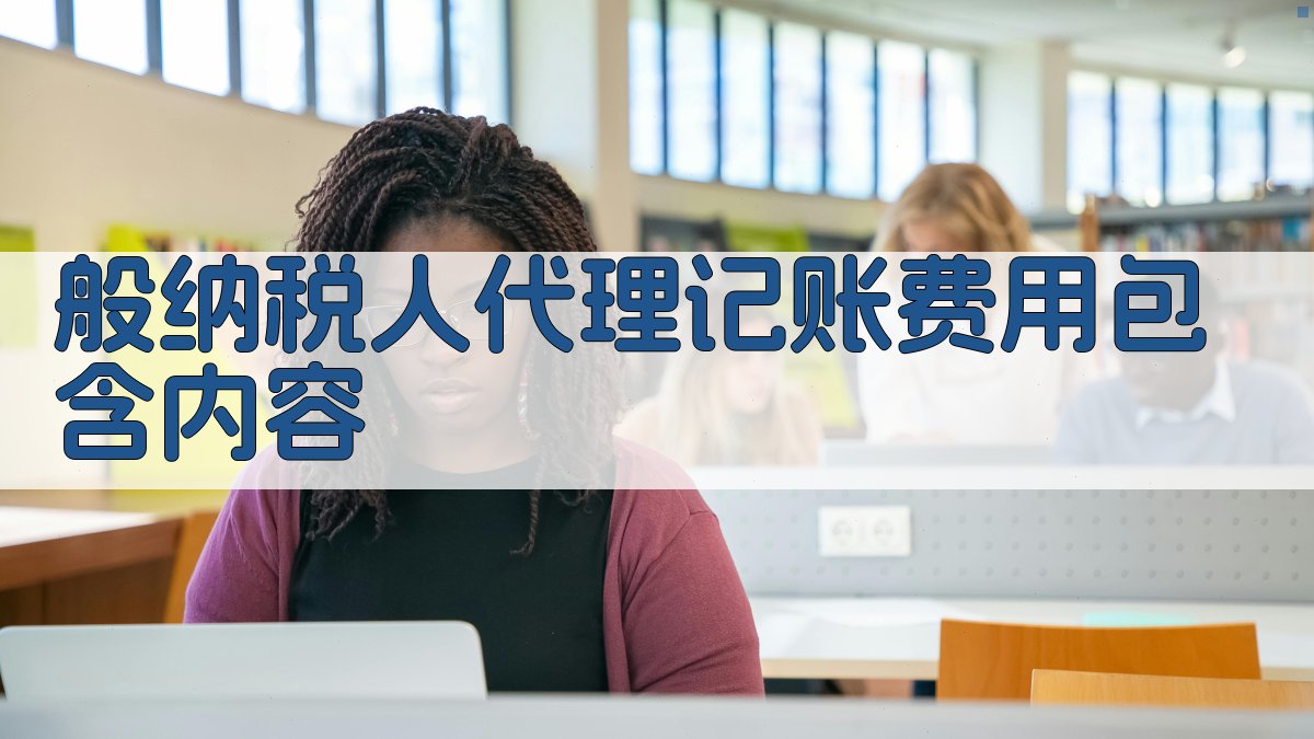 般纳税人代理记账费用包含内容 图2