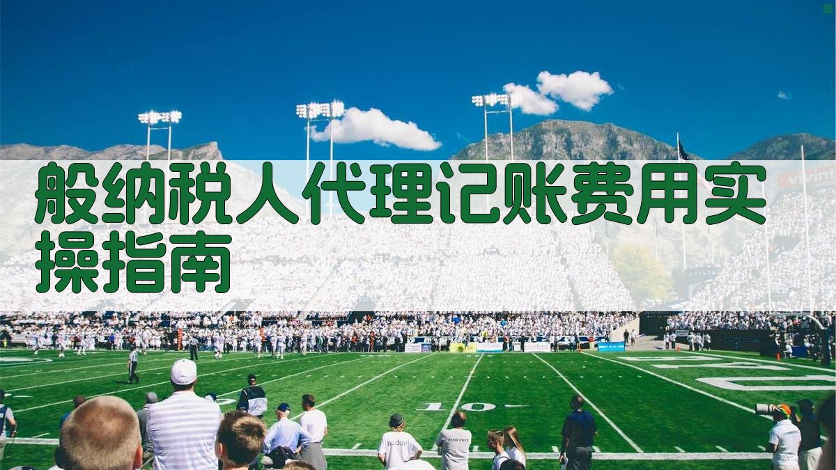般纳税人代理记账费用实操指南 图2