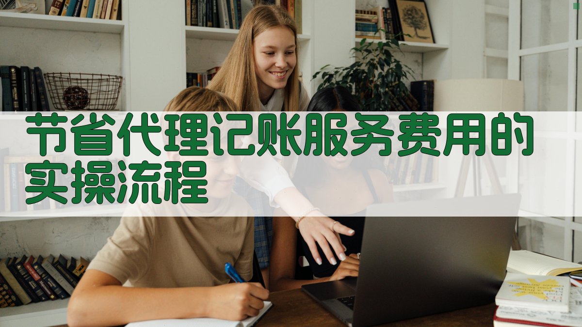 节省代理记账服务费用的实操流程 图3