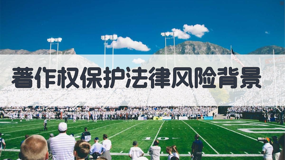 著作权保护法律风险背景 图1