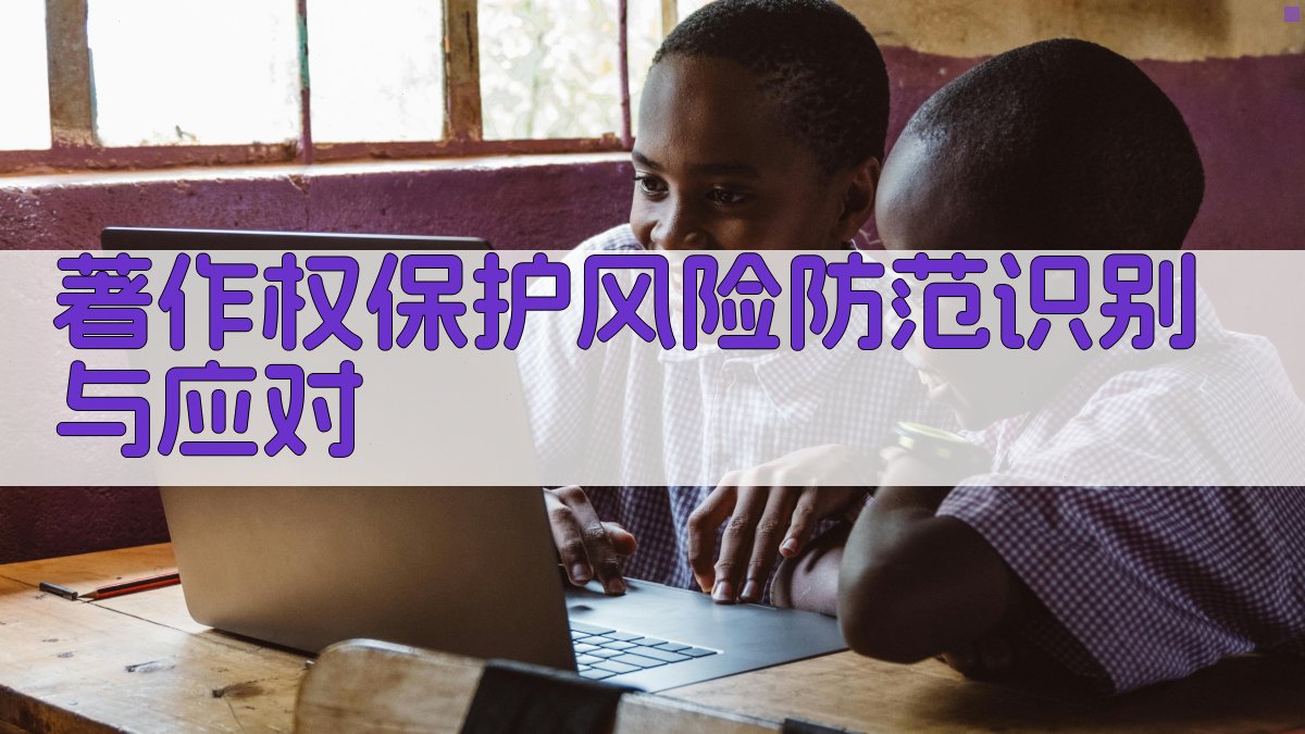 著作权保护风险防范识别与应对 图2