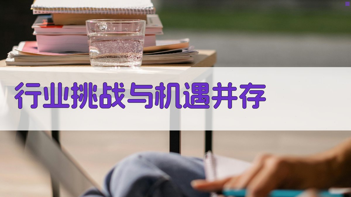 行业挑战与机遇并存 图1