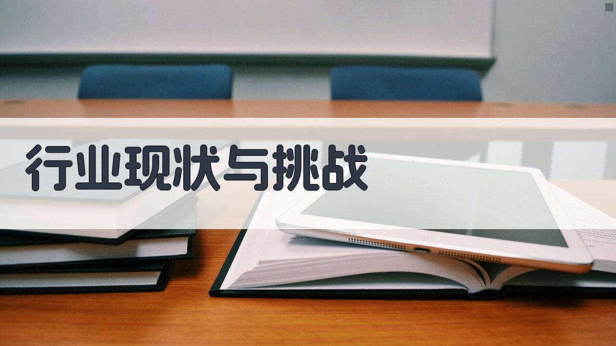 行业现状与挑战 图1