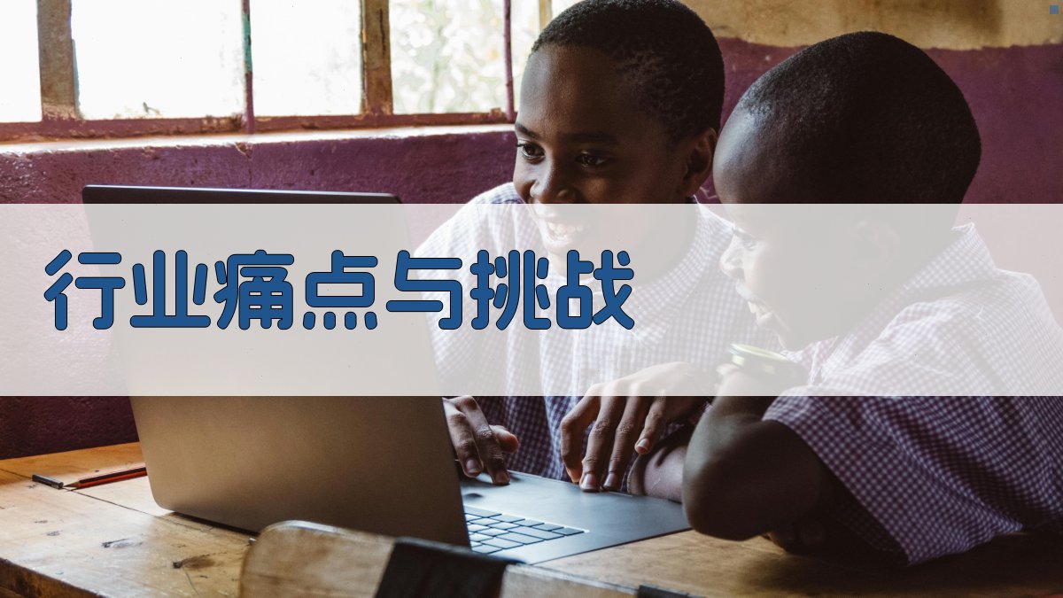 行业痛点与挑战 图1