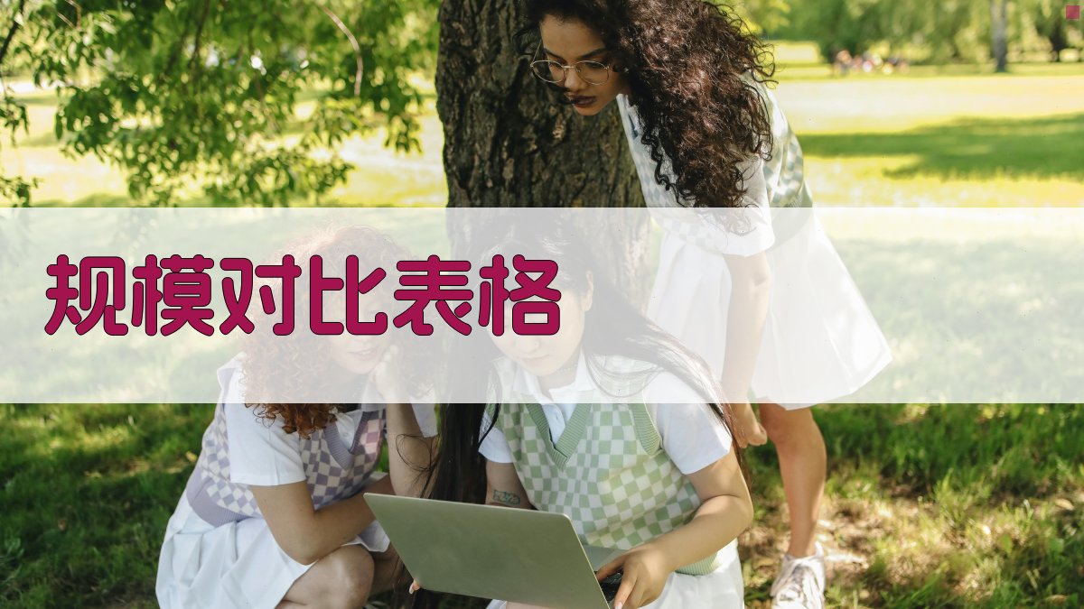 规模对比表格 图1