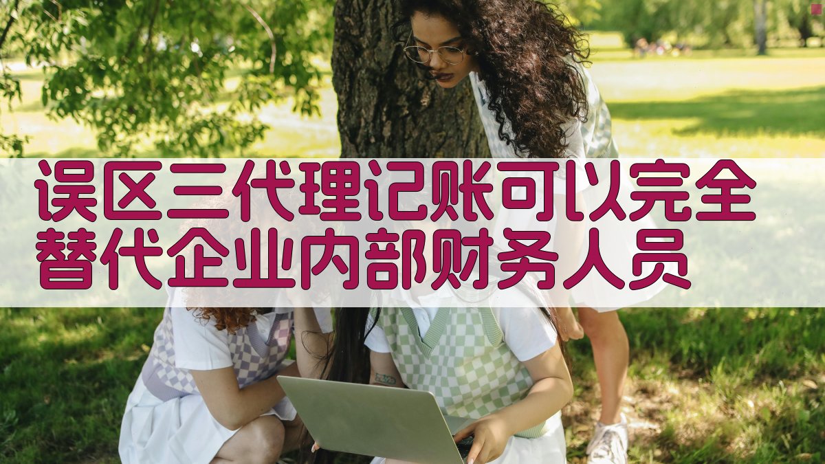 误区三：代理记账可以完全替代企业内部财务人员 图4