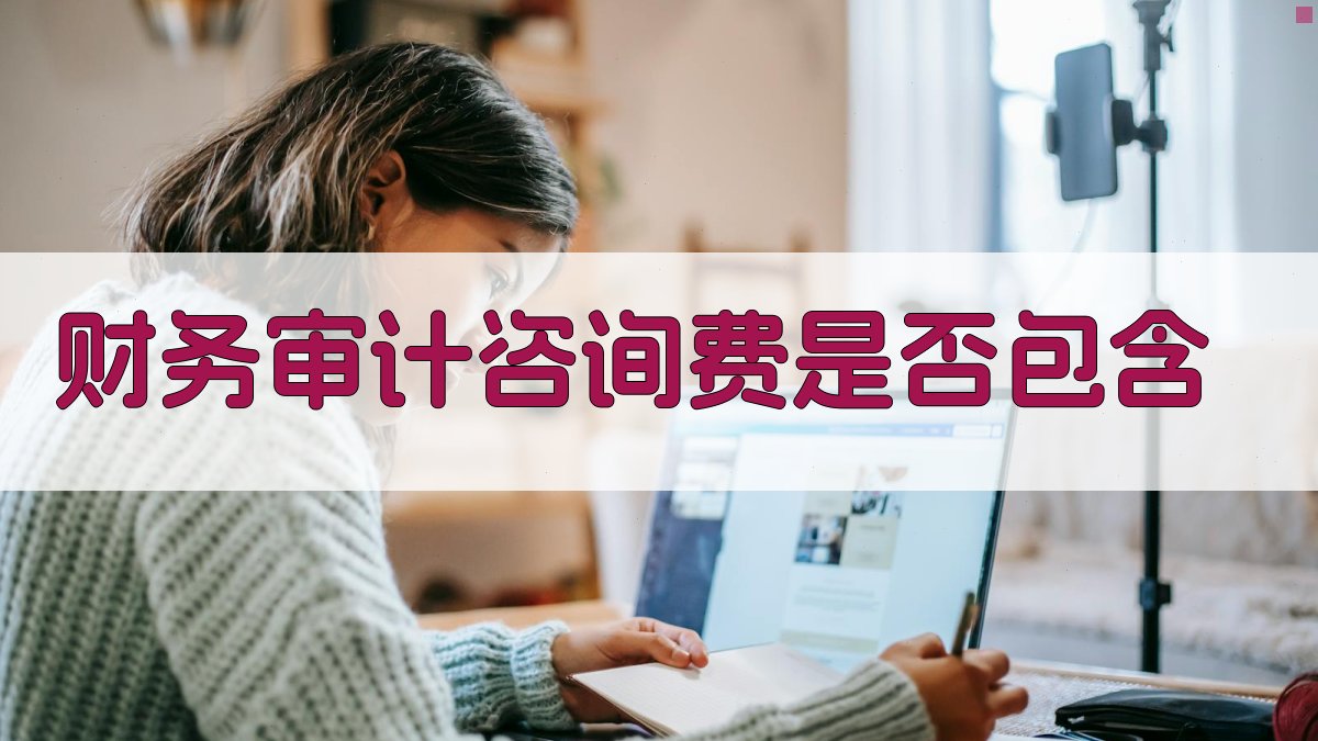 财务审计咨询费是否包含 图1