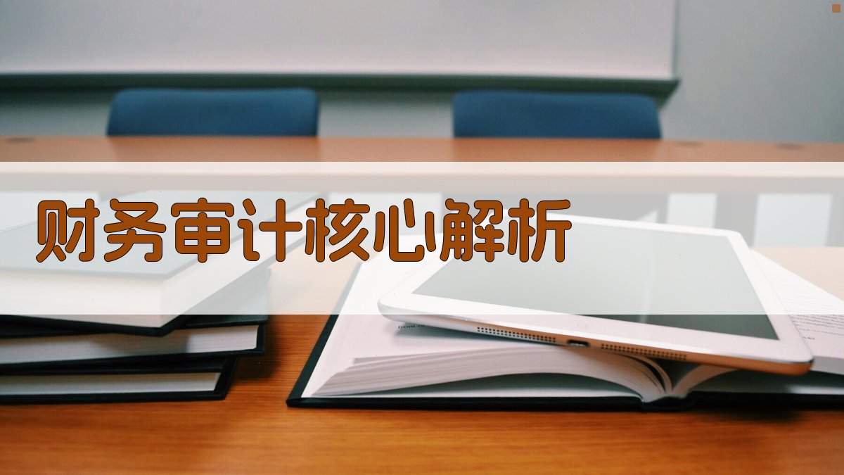 财务审计核心解析 图2
