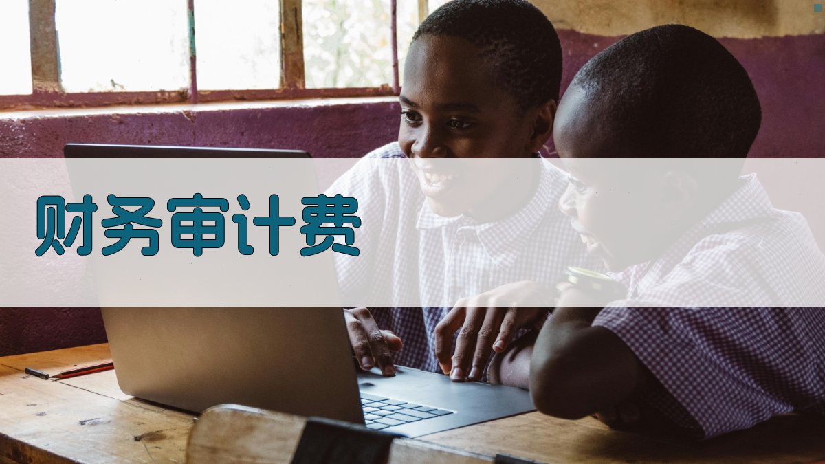 财务审计费 图2