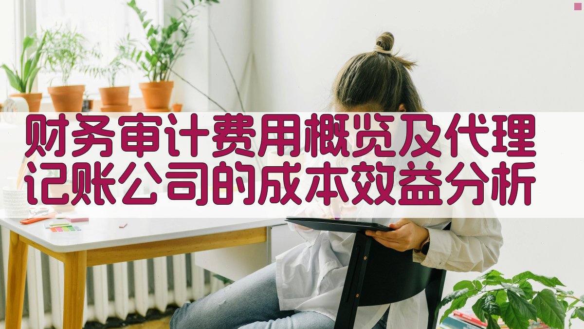 财务审计费用概览及代理记账公司的成本效益分析 图2