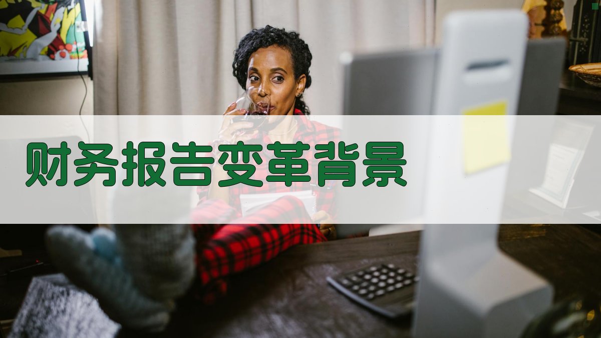 财务报告变革背景 图1