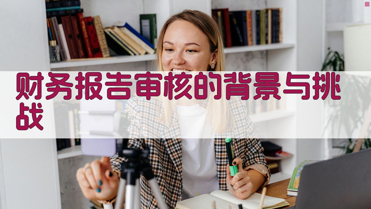 财务报告审核的背景与挑战 图1