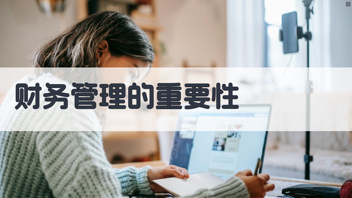 财务管理的重要性 图1