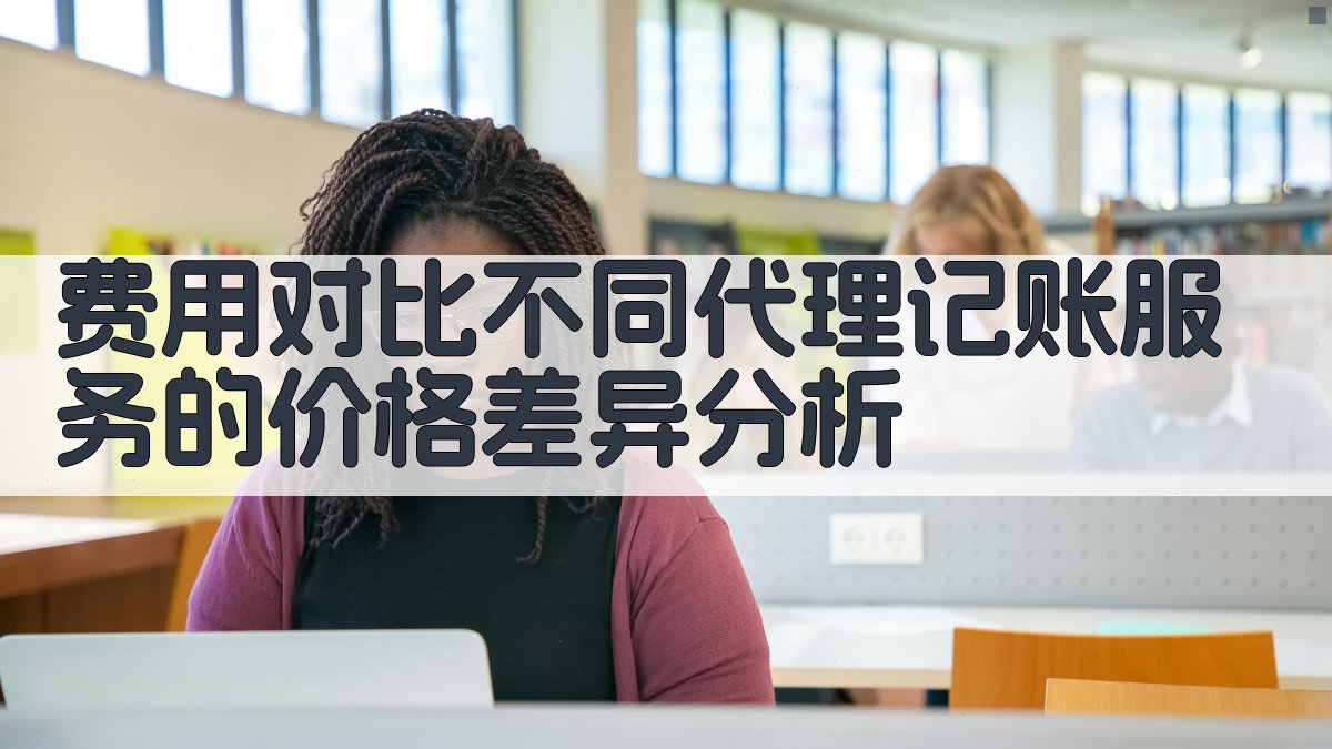 费用对比不同代理记账服务的价格差异分析 图3