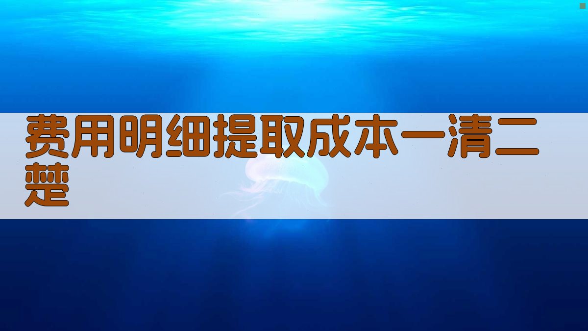 费用明细提取成本一清二楚 图5