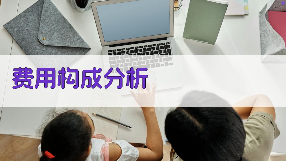 费用构成分析 图1