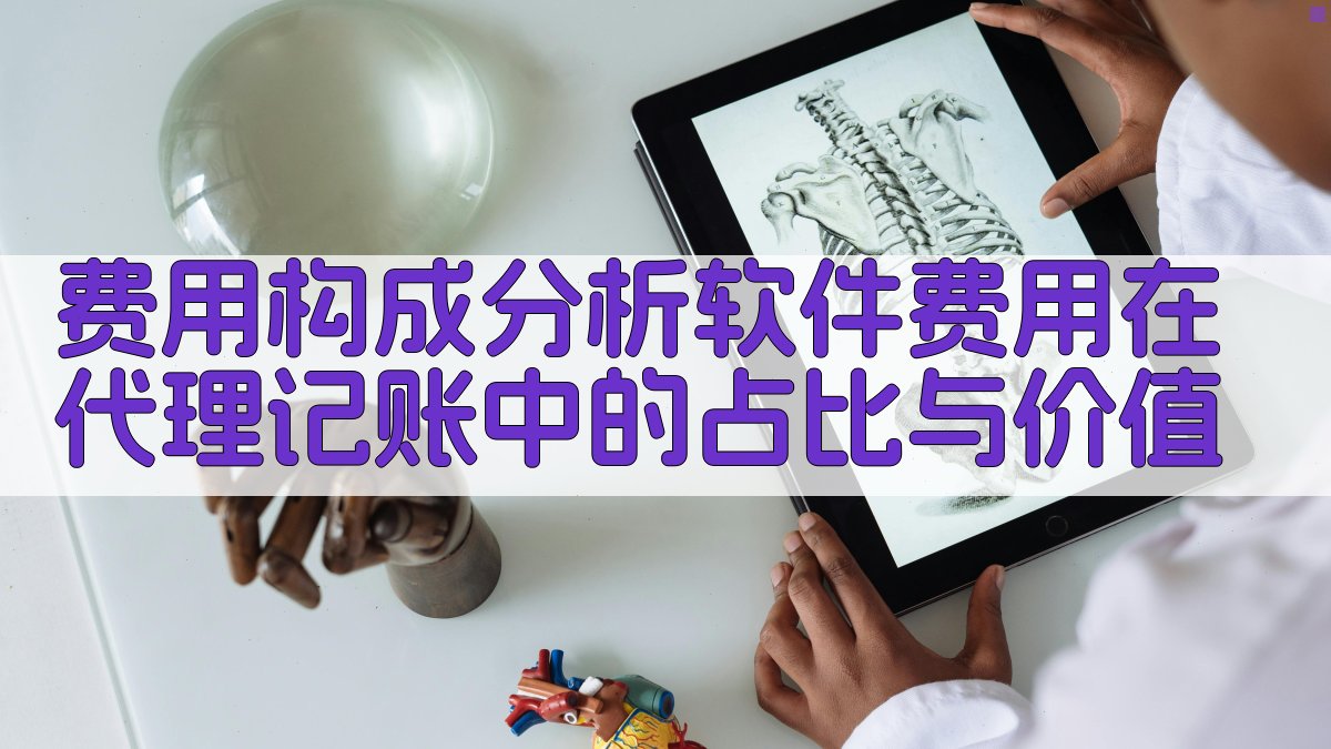 费用构成分析软件费用在代理记账中的占比与价值 图2