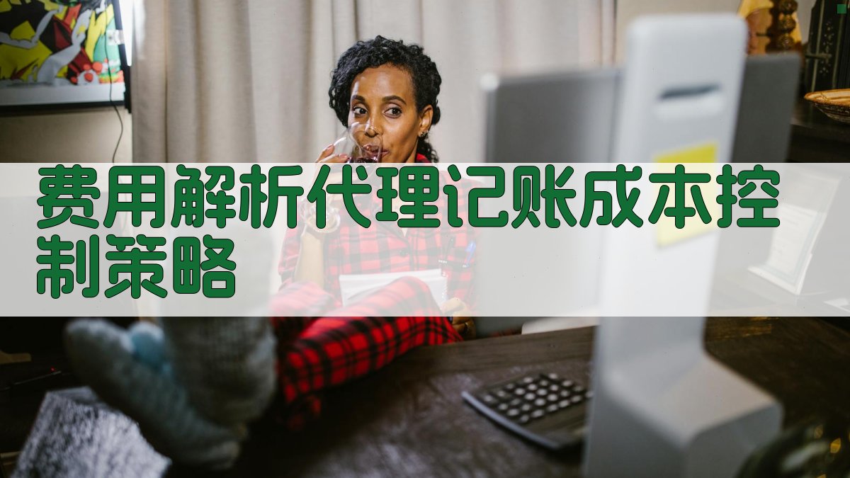 费用解析代理记账成本控制策略 图3