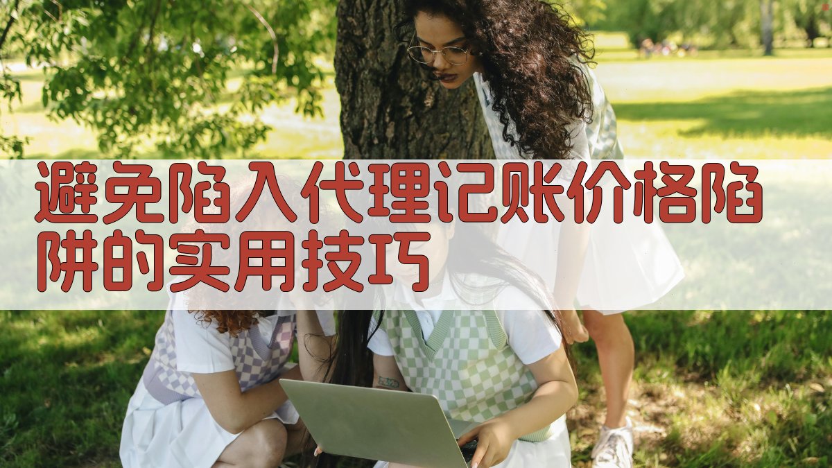 避免陷入代理记账价格陷阱的实用技巧 图5