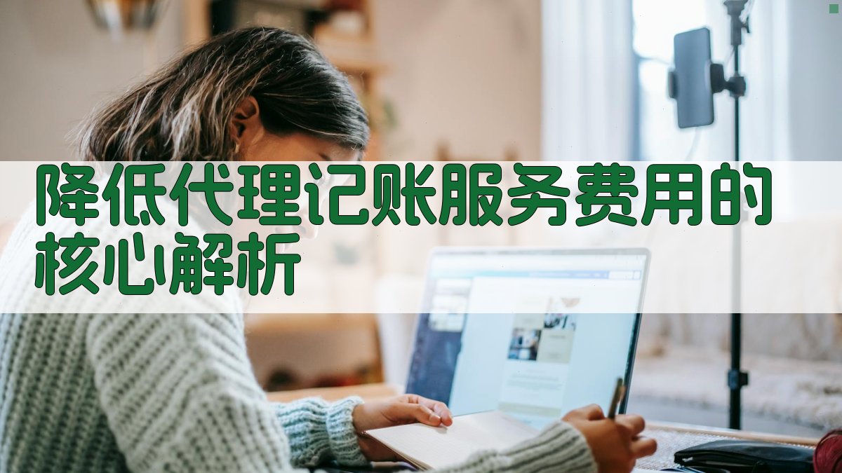 降低代理记账服务费用的核心解析 图1