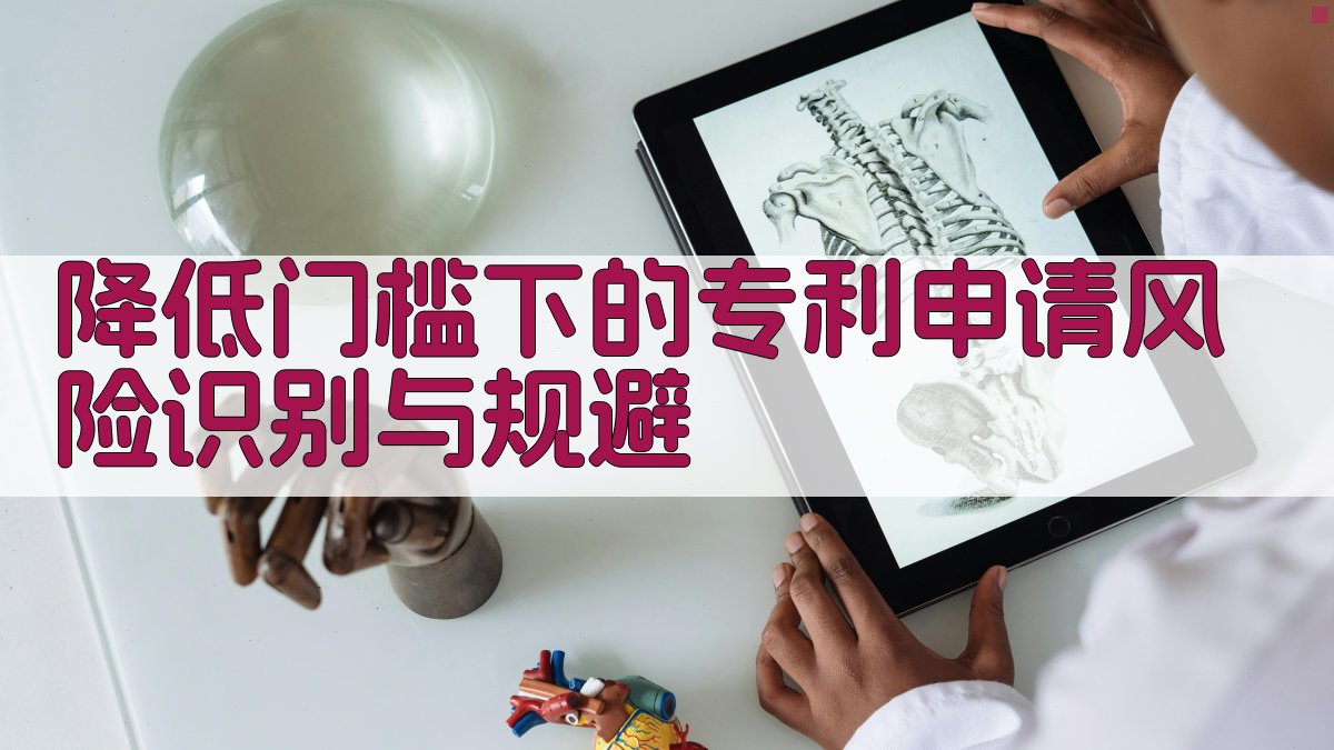 降低门槛下的专利申请风险识别与规避 图2