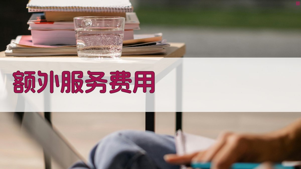 额外服务费用 图1