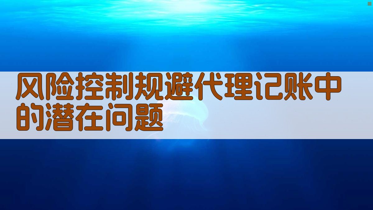 风险控制规避代理记账中的潜在问题 图4