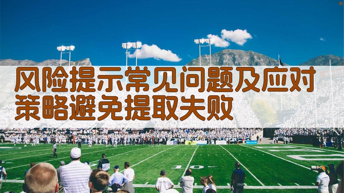 风险提示常见问题及应对策略，避免提取失败 图1