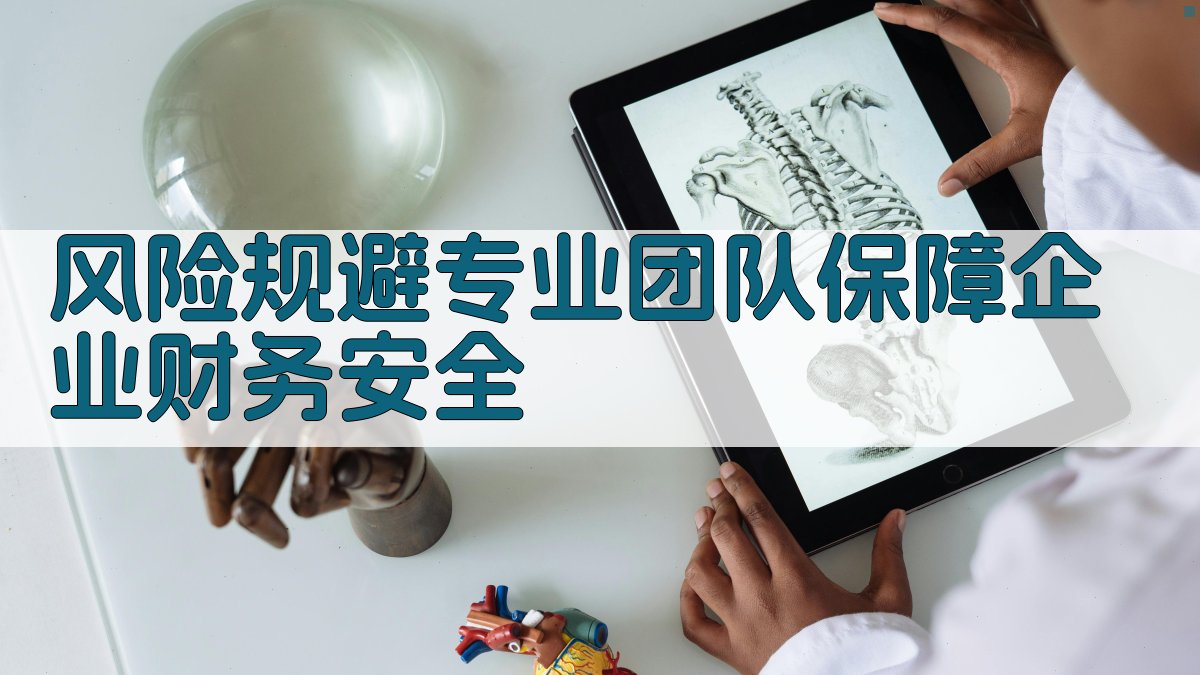 风险规避：专业团队，保障企业财务安全 图2